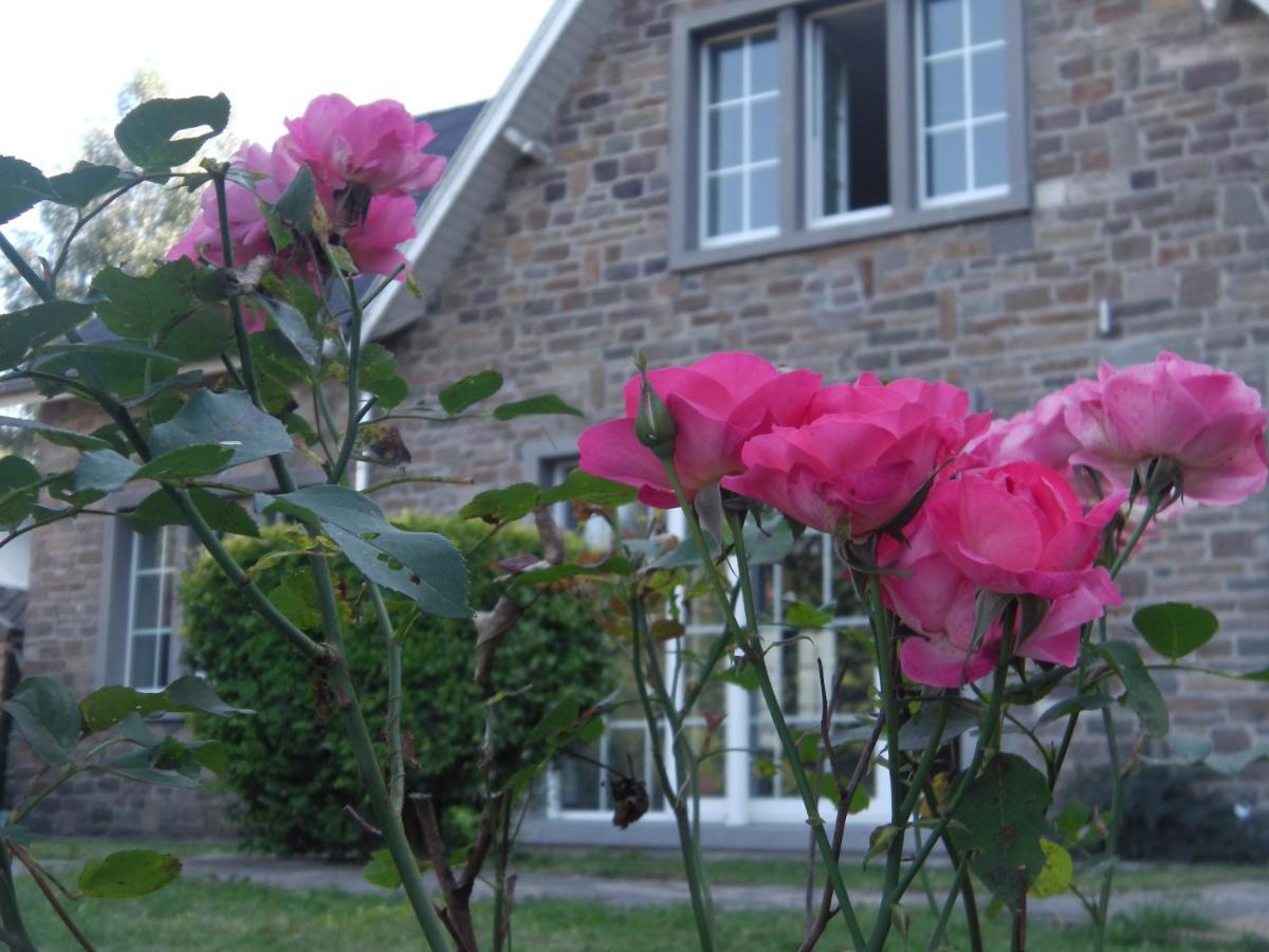 Le Rimamir gîte de charme au bord de l’Amblève Aywaille Extérieur photo